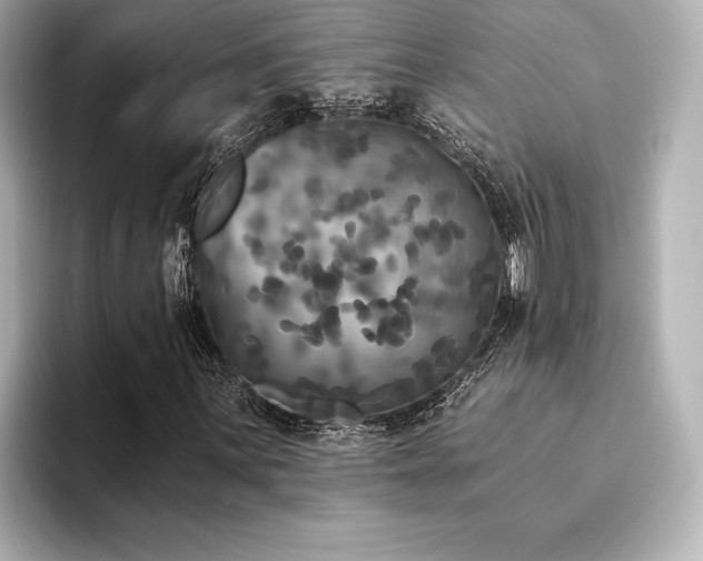 X0000094351059200711021429