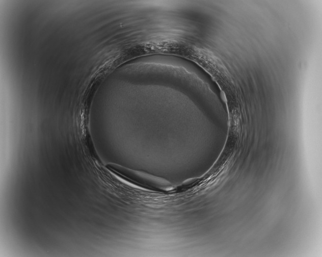 X0000094351060200711021429