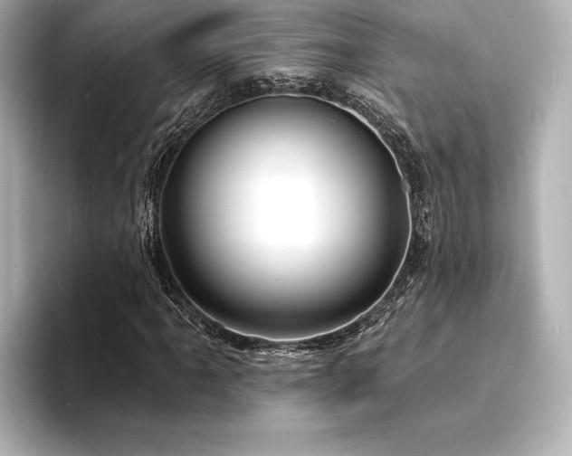 X0000094351061200711021429