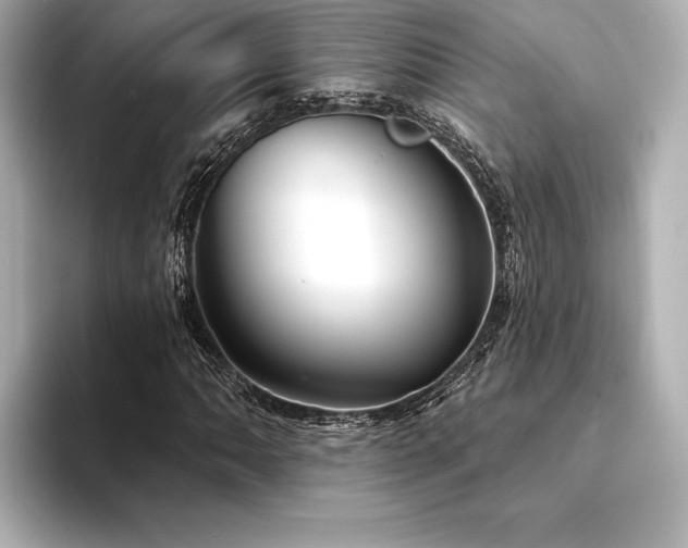 X0000094351062200711021429