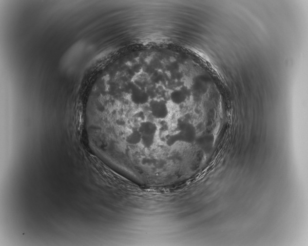 X0000094351063200711021429