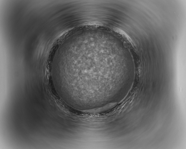X0000094351064200711021429