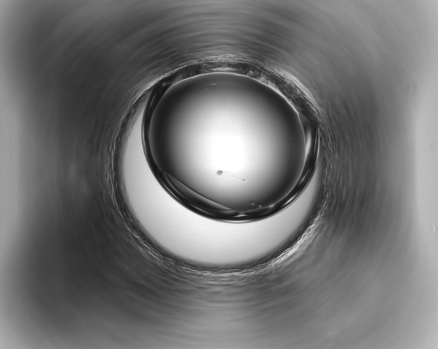 X0000094351065200711021428