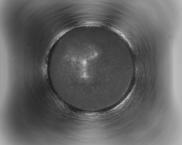 X0000094351066200711021428