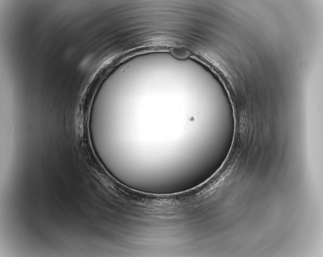 X0000094351067200711021428
