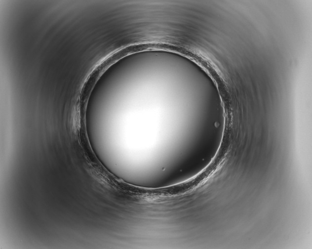 X0000094351069200711021428