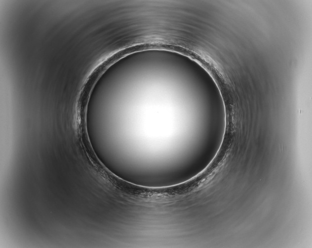 X0000094351070200711021428