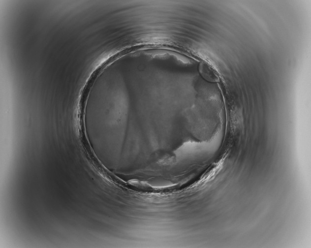 X0000094351071200711021428