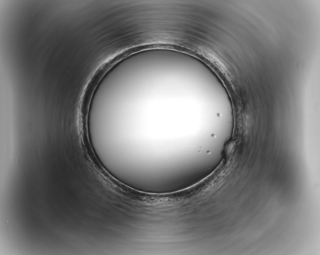 X0000094351072200711021428