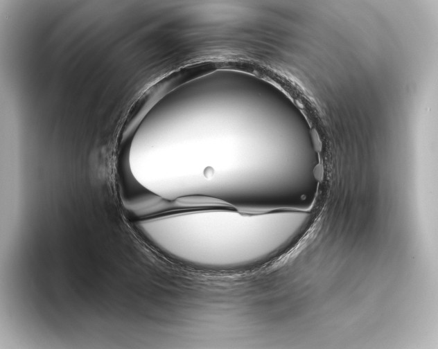 X0000094351073200711021428