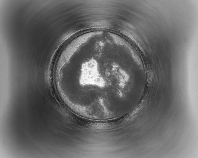 X0000094351074200711021428