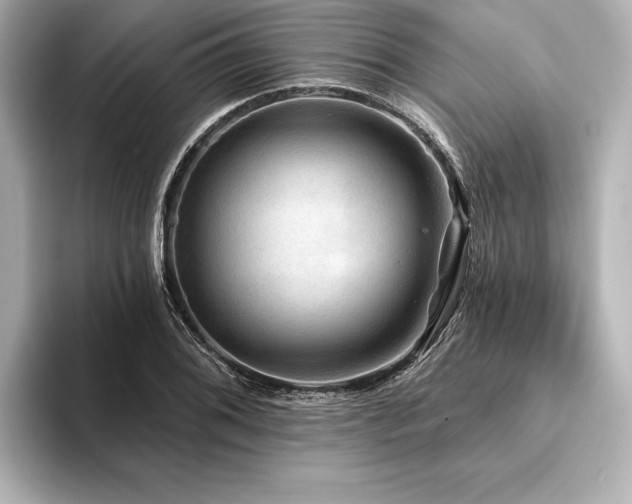 X0000094351076200711021428