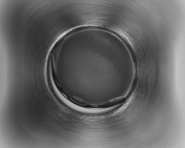 X0000094351077200711021428