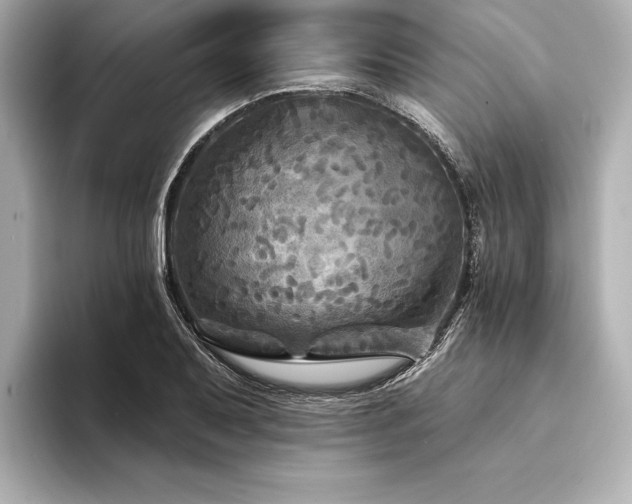 X0000094351079200711021428