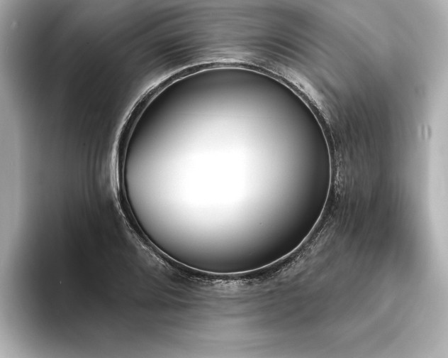X0000094351080200711021428