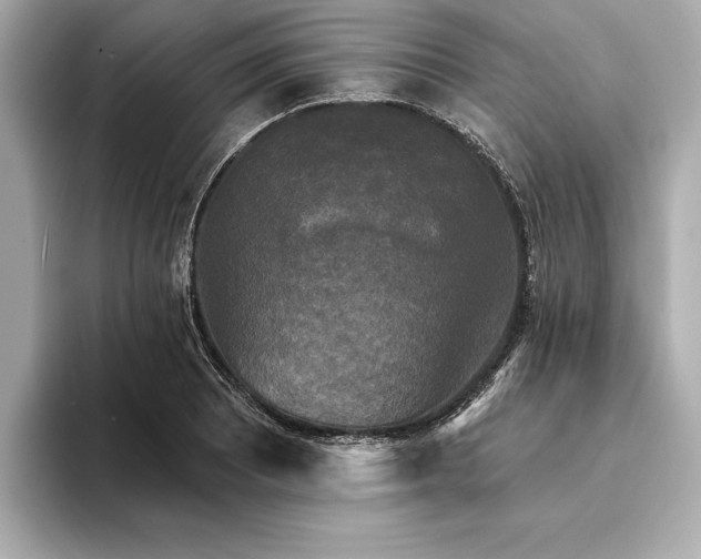 X0000094351081200711021428