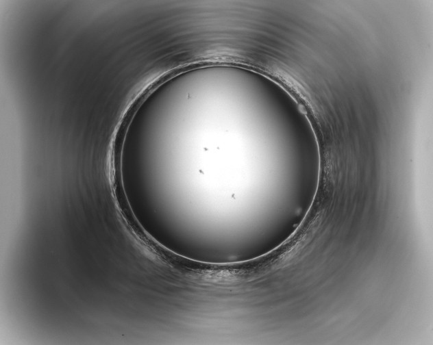 X0000094351082200711021428