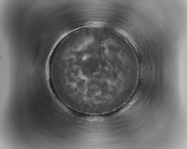 X0000094351083200711021428