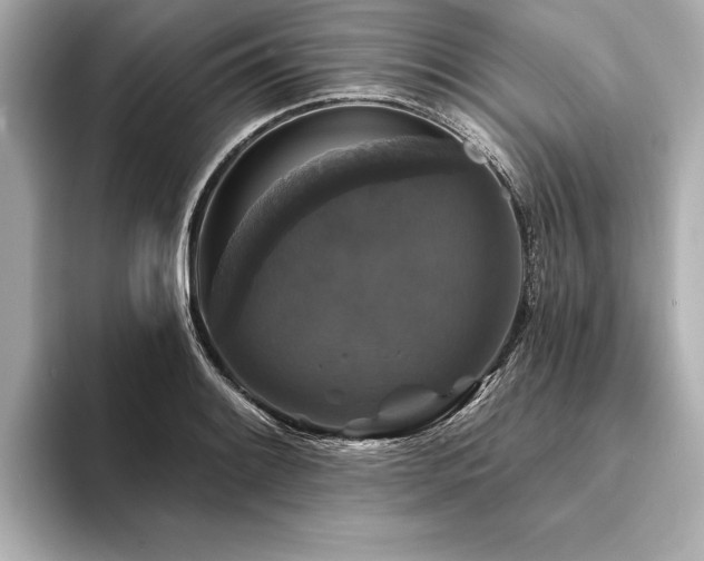X0000094351084200711021428