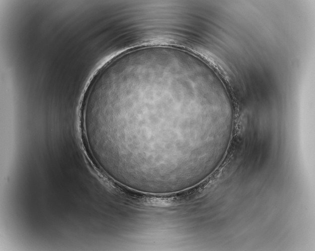 X0000094351086200711021428