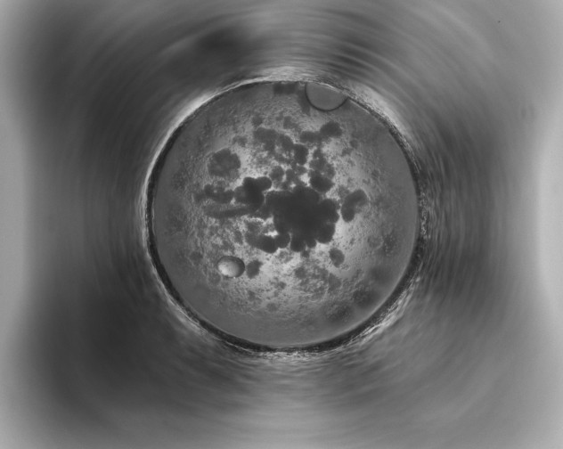 X0000094351087200711021428