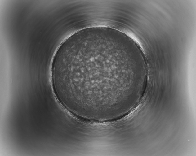 X0000094351088200711021428