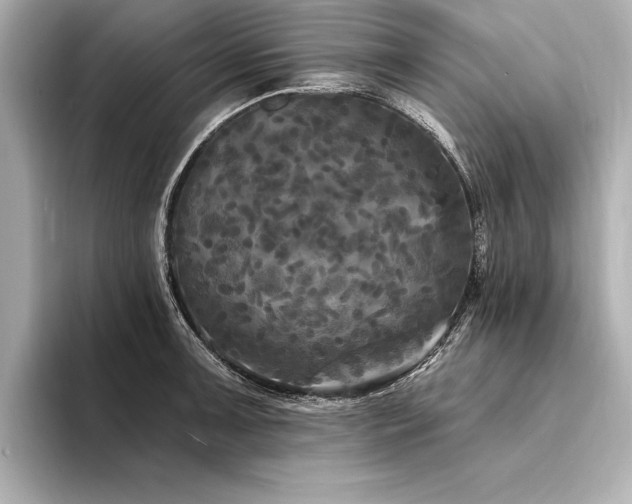 X0000094351091200711021428