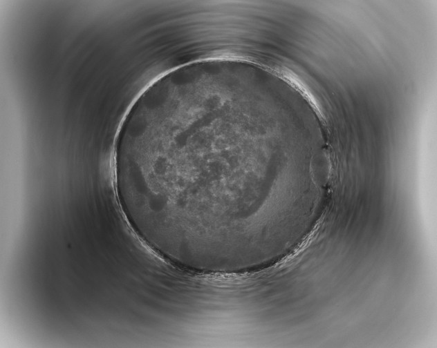 X0000094351092200711021428