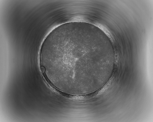 X0000094351094200711021428
