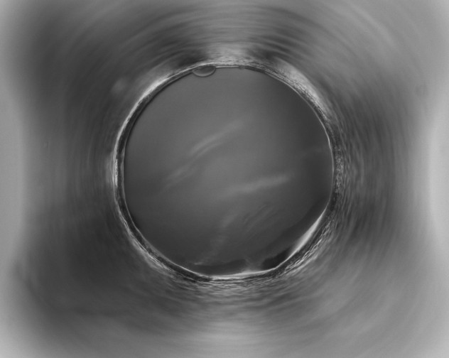 X0000094351095200711021428