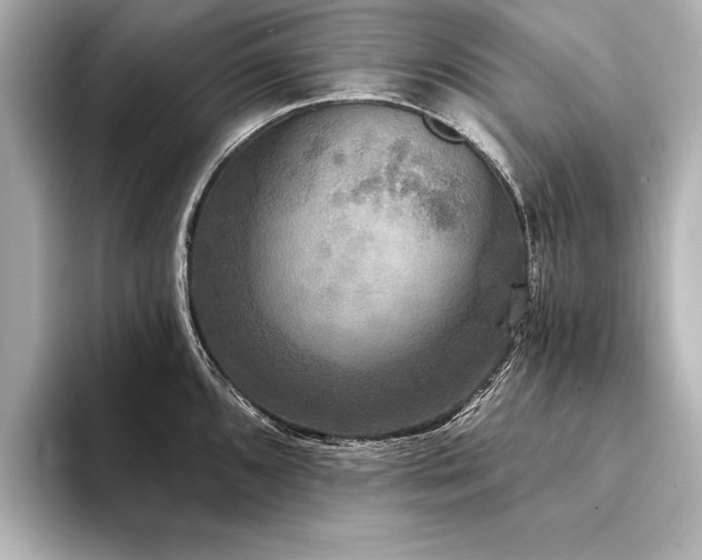 X0000094351096200711021428