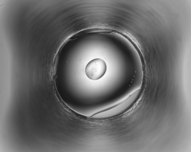 X0000094351097200711021428