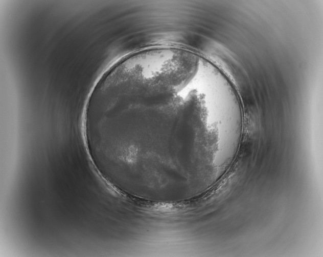 X0000094351098200711021428