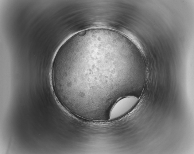 X0000094351100200711021428