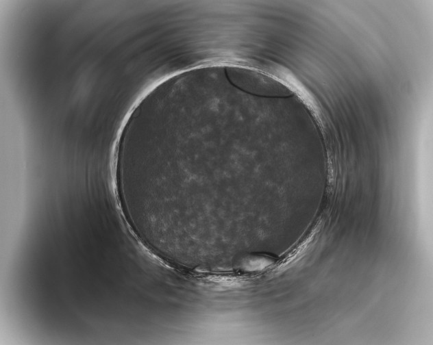 X0000094351102200711021428