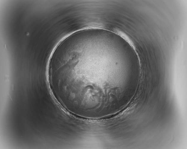 X0000094351104200711021428