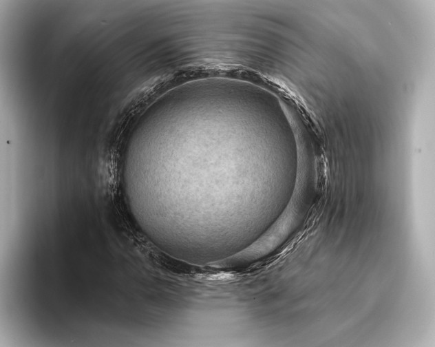 X0000094351110200711021428