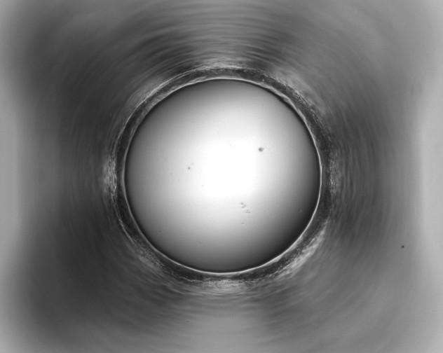 X0000094351113200711021428