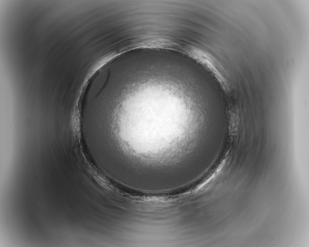 X0000094351114200711021428