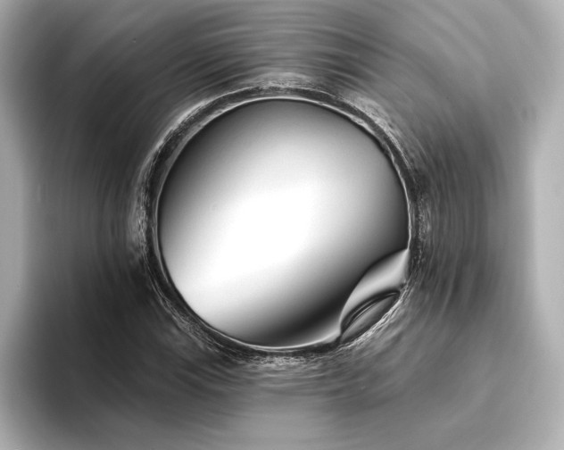 X0000094351115200711021428