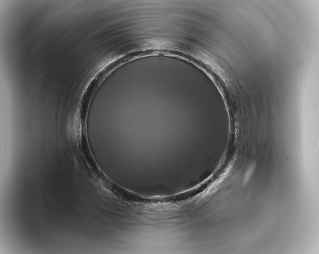 X0000094351117200711021428
