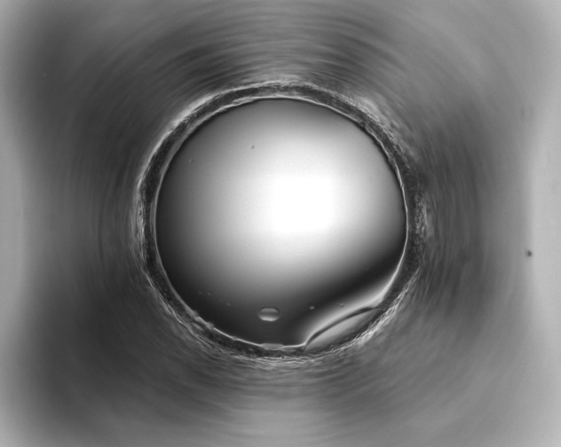 X0000094351118200711021428