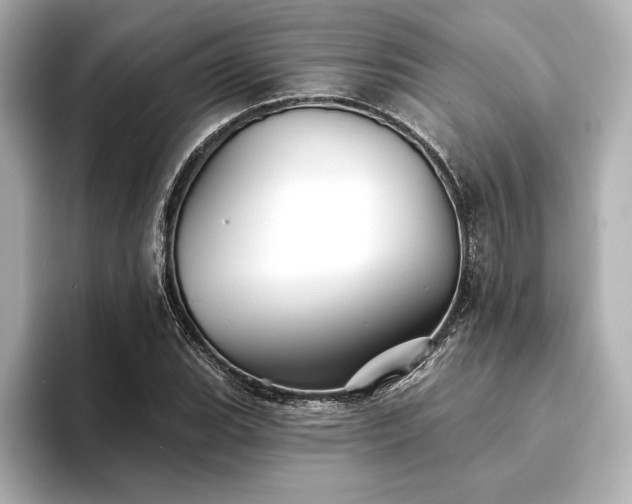 X0000094351119200711021428
