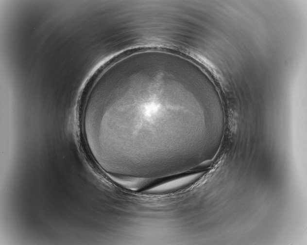 X0000094351120200711021428