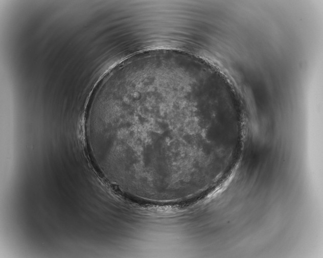 X0000094351121200711021428