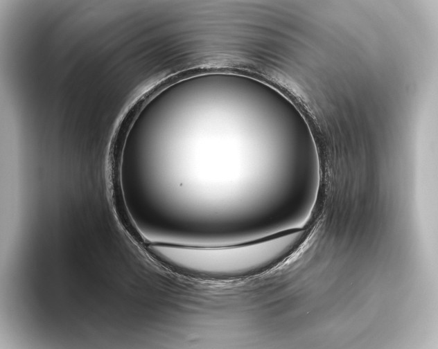 X0000094351122200711021428