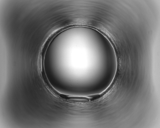 X0000094351123200711021428