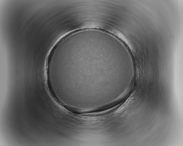 X0000094351124200711021428