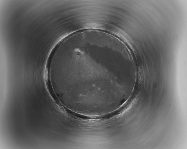 X0000094351125200711021428