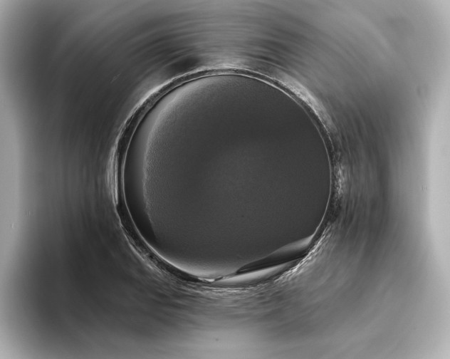 X0000094351127200711021428